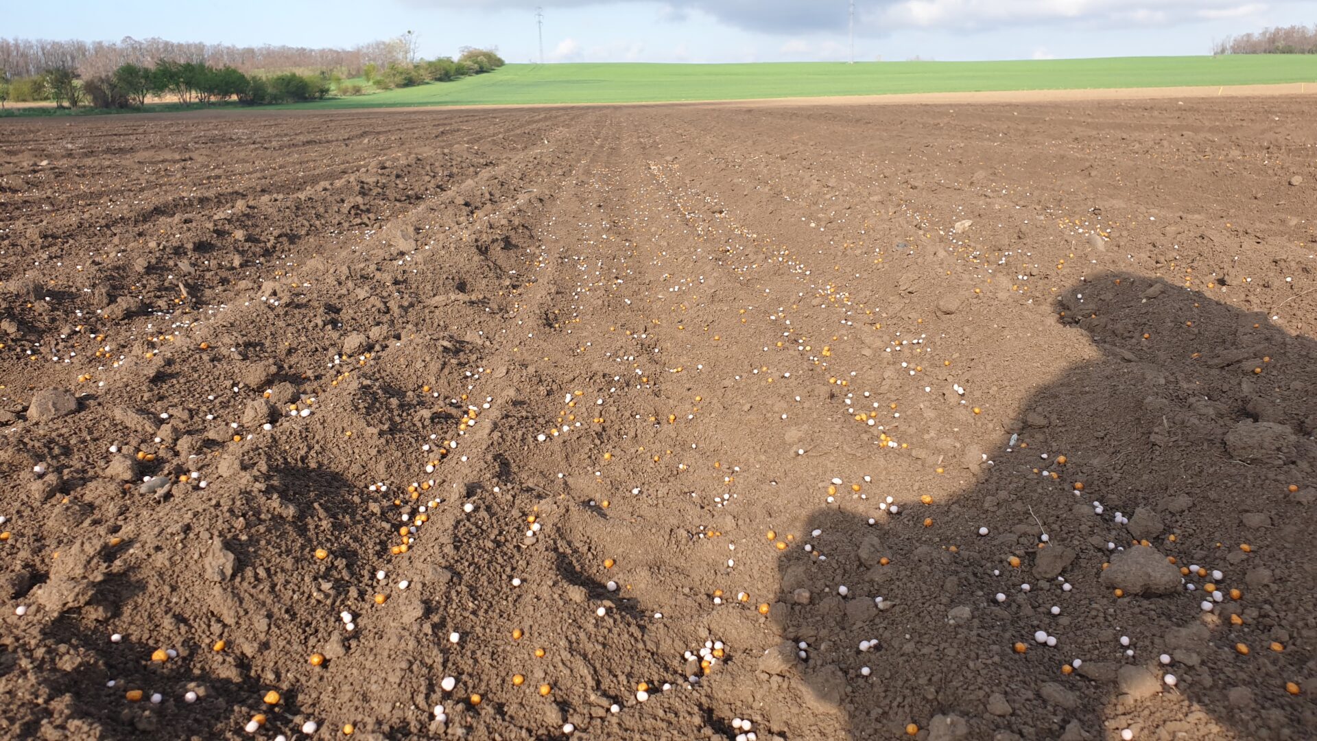 Aplikace obalovaného hnojiva Foto Petr Škarpa