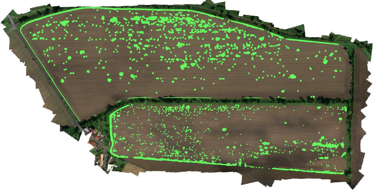 Vědci si kladou ambiciózní cíle – chtějí, aby drony dokázaly detekovat lipnicovité rostliny v porostu lipnicovitých rostlin, konkrétně chundelku metlici v obilninách Foto Vojtěch Slezák