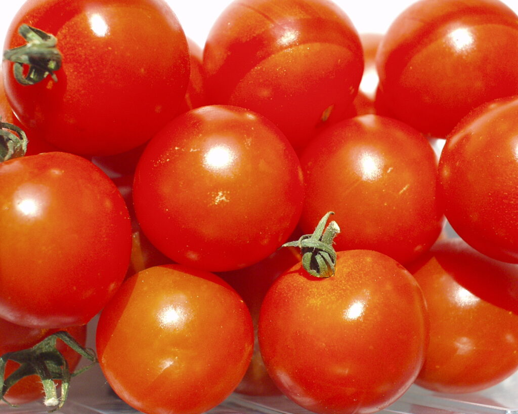 První transgenní plodinou uvedenou na trh bylo rajče flavr savr
