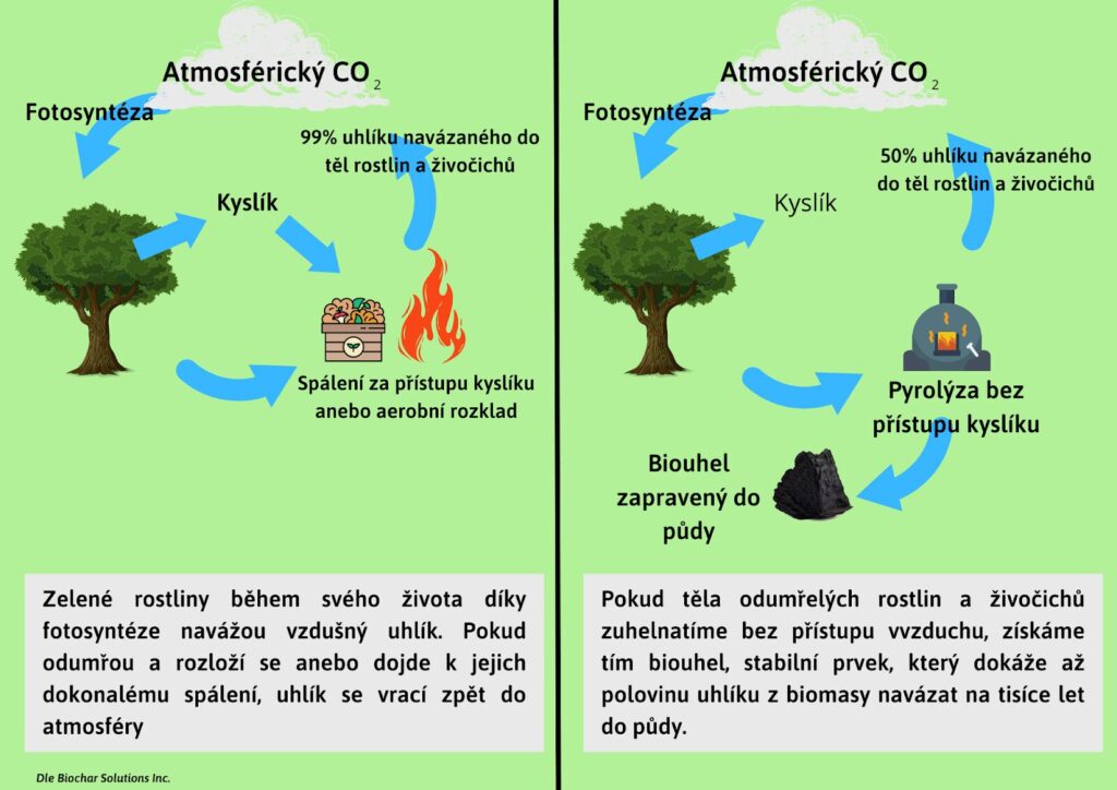 schéma cyklu biouhlu
