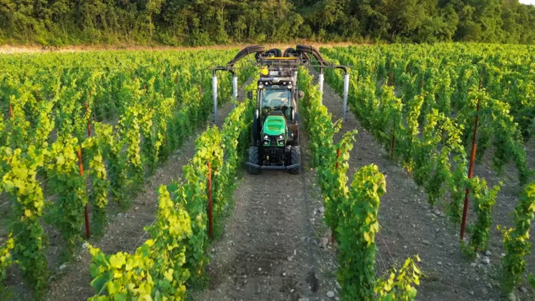 DF_5_DS_TTV_-_Smart_Vineyard_Tractor_pic_ok