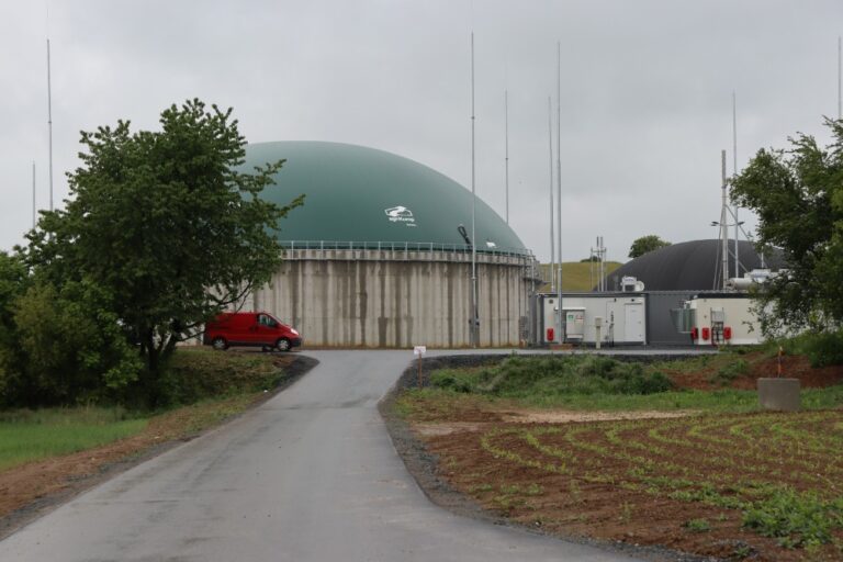 Krakorice1