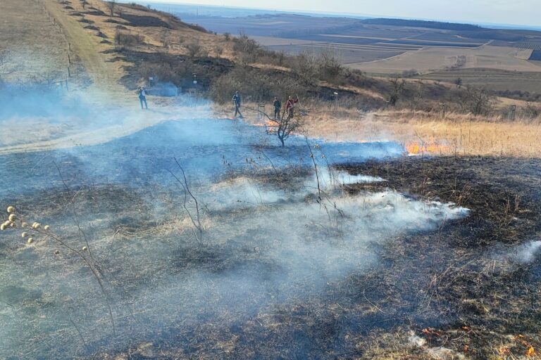 trávník_vypalování1