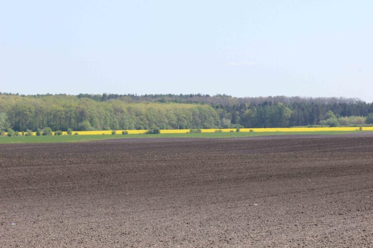 Bakterie může ovlivnit vlastnosti půdy Foto Barbora Venclová