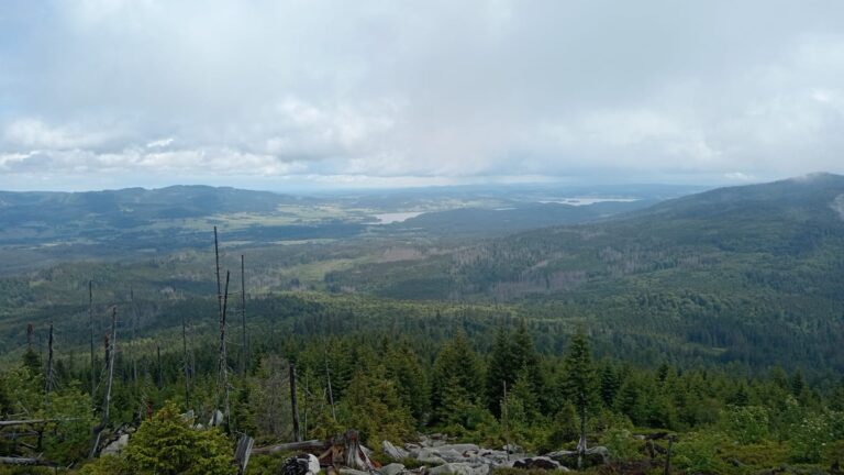 lipno
