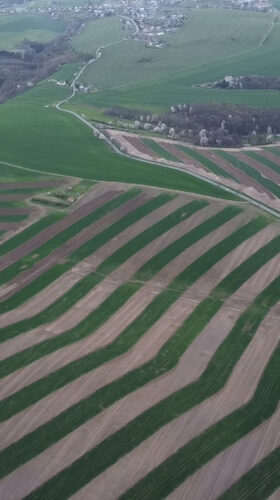 Pásové obhospodařování půdy na lokalitě Na Výšině u Bílovce. Snímek byl pořízen pomocí dronu Trinity F90 z výšky 120 m Foto archiv