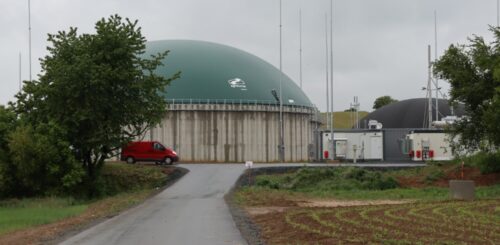 Krakorice1