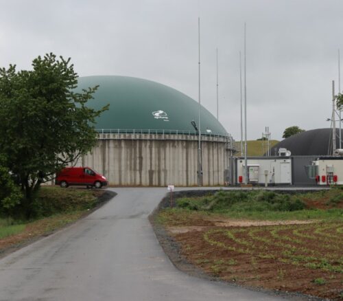 Krakorice1