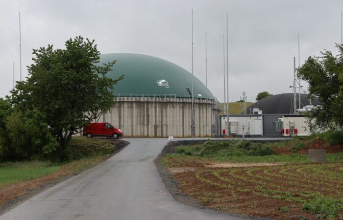 Krakorice1