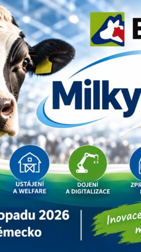 Milky Way