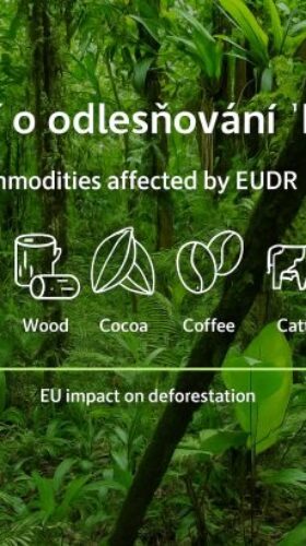Narizeni_o_odlesnovani_EUDR mensi