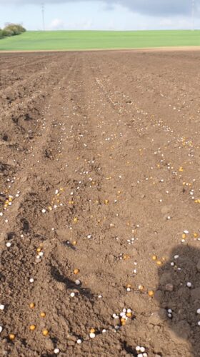 Aplikace obalovaného hnojiva Foto Petr Škarpa