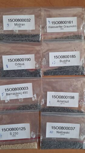 Osivo máku setého Foto archiv CARC