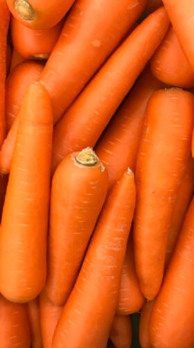 Close up of Textured image of carrots in department store shelves or supermarket