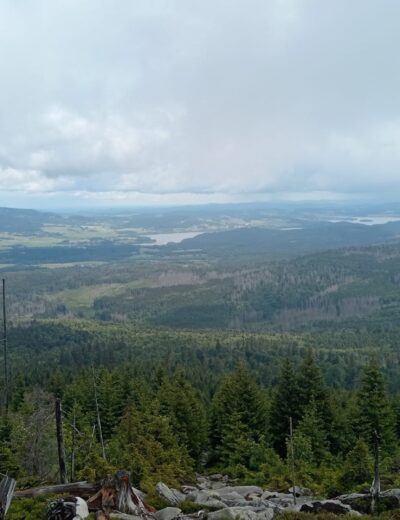 lipno