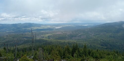 lipno