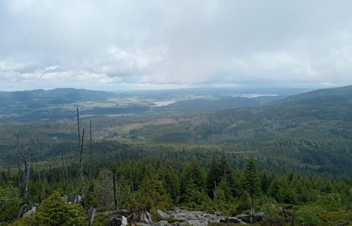 lipno