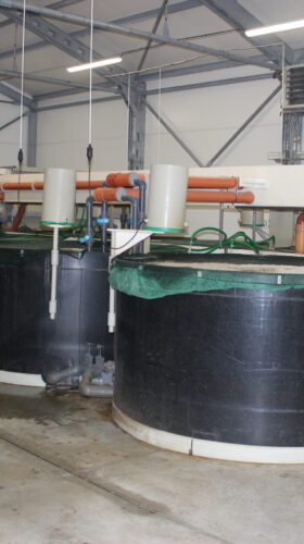 recirkulacni system