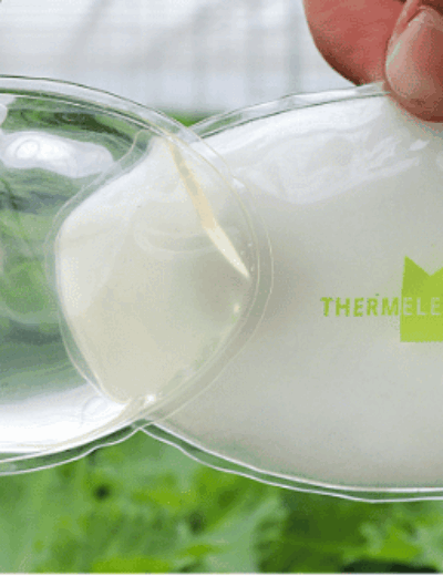 thermeleon-1000-x-333-px