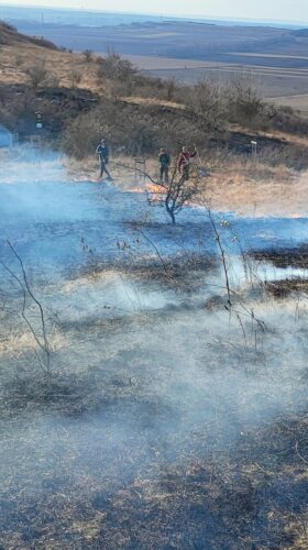 trávník_vypalování1