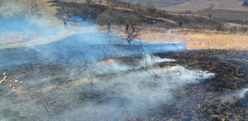 trávník_vypalování1